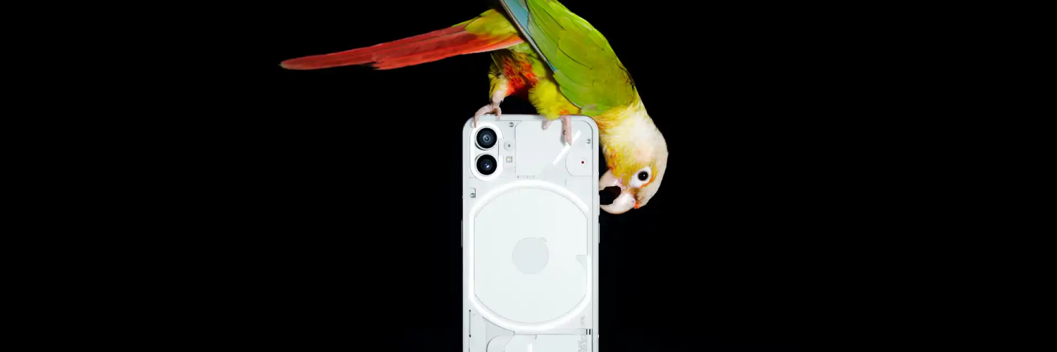 NothingPhoneBird